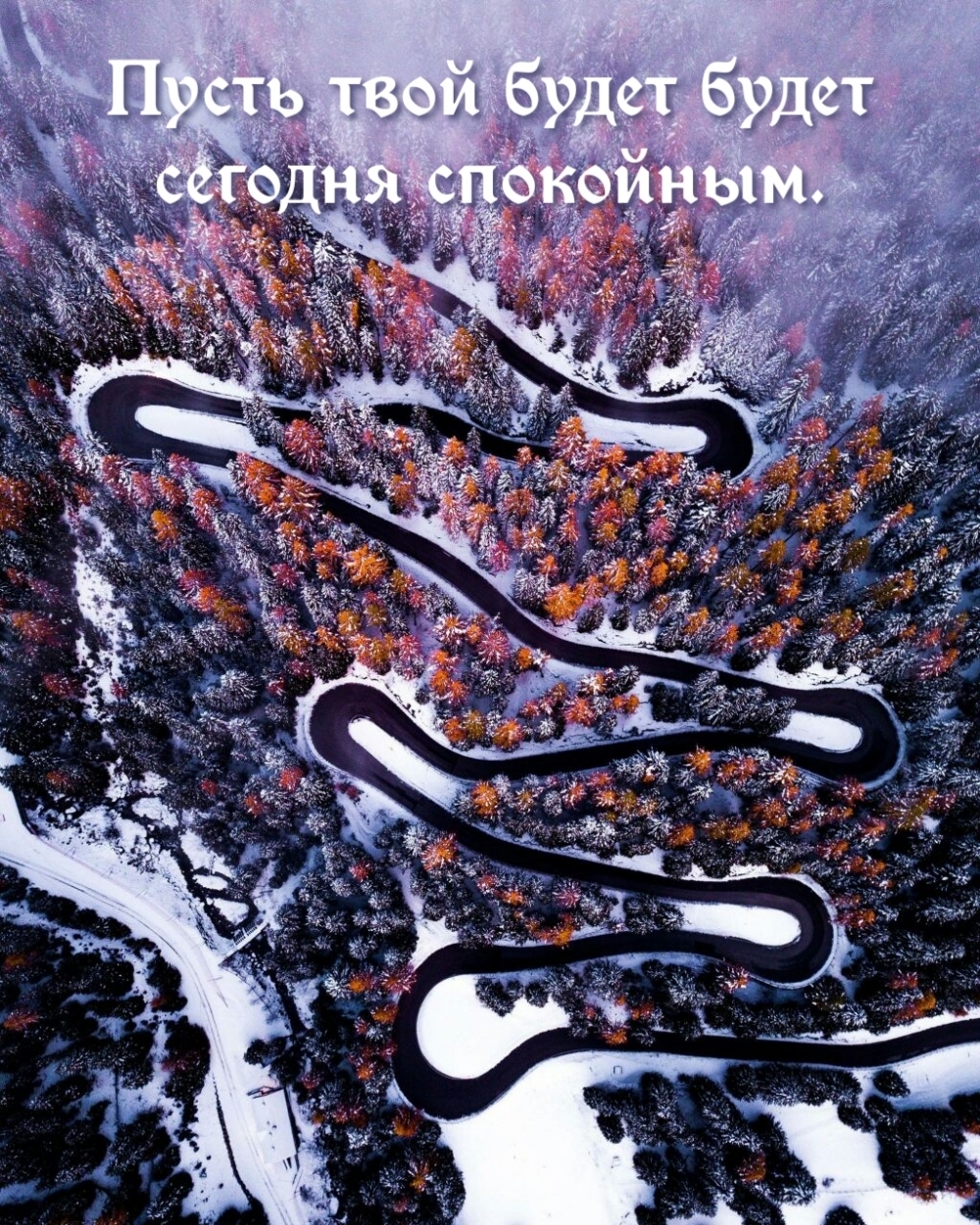 Пусть твой будет будет сегодня спокойным.