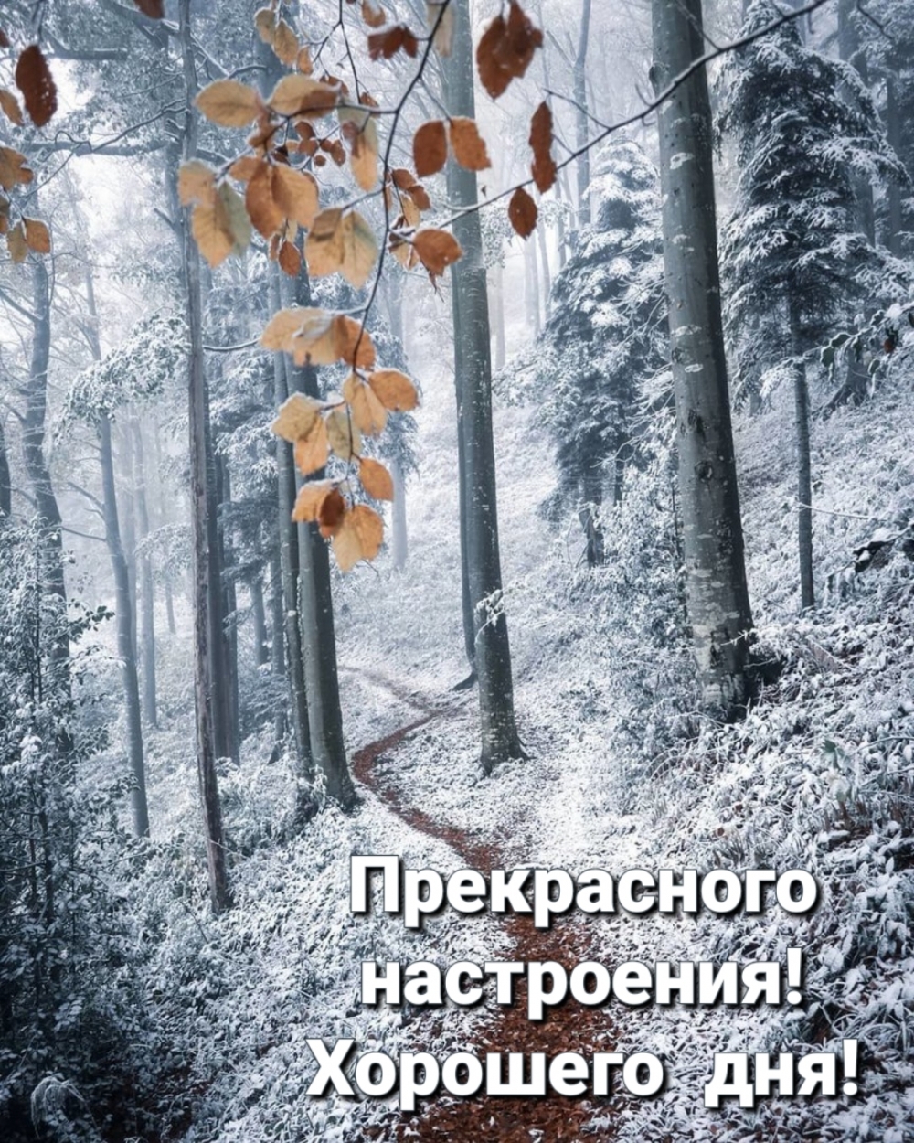 ����������� ����������! �������� ���!.