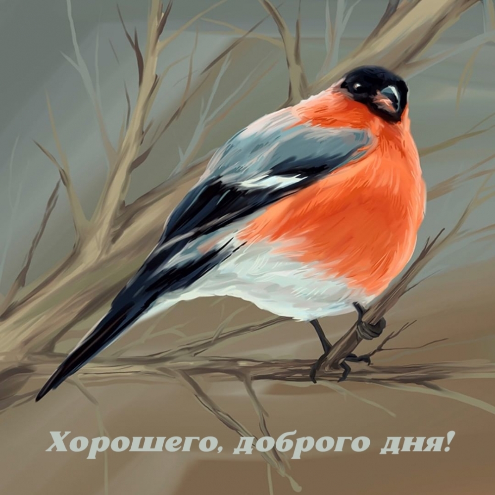 Хорошего, доброго дня!
