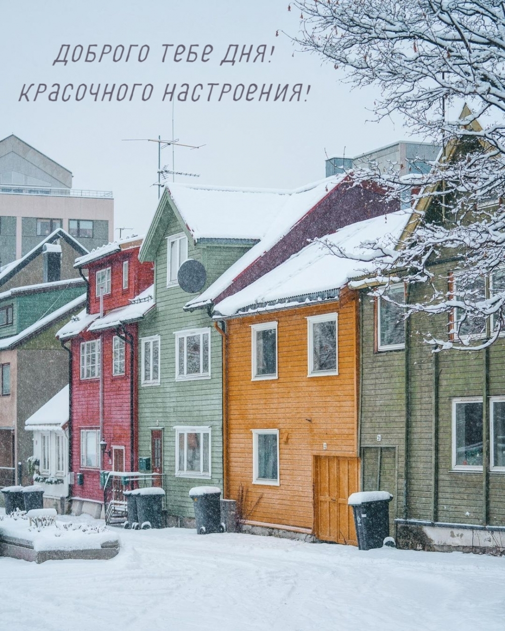 Красочного дня картинки