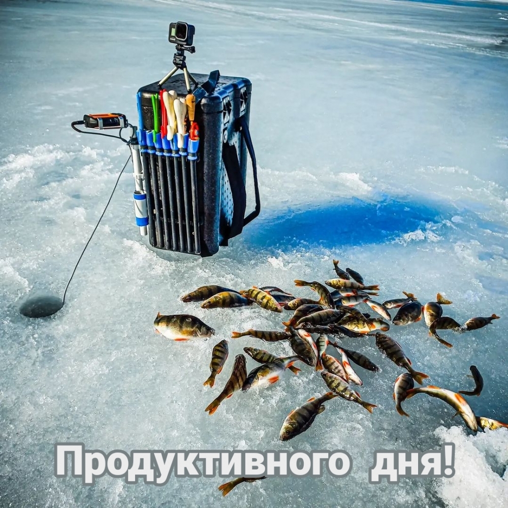 Продуктивного дня!