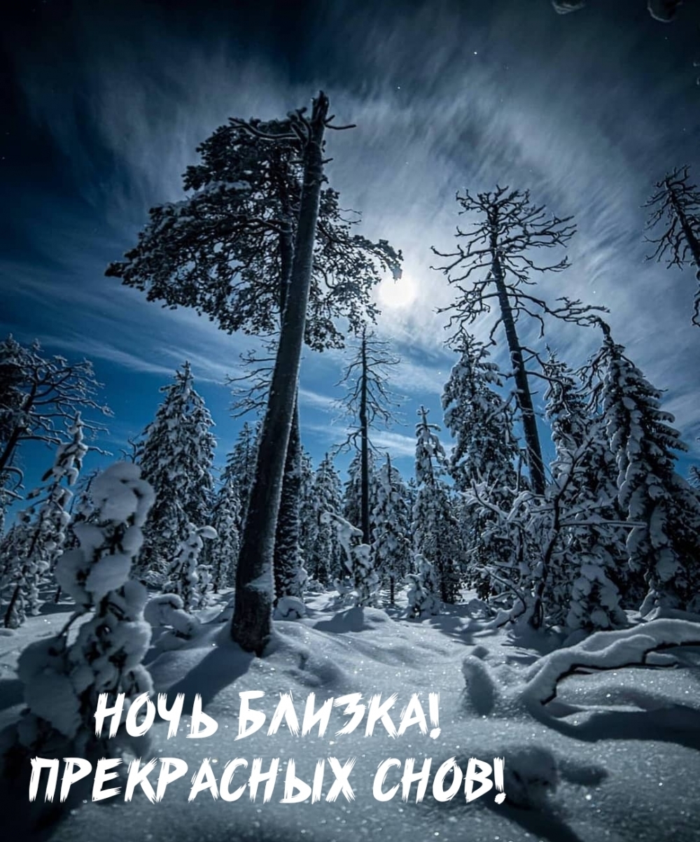 ���� ������! ���������� ����!.