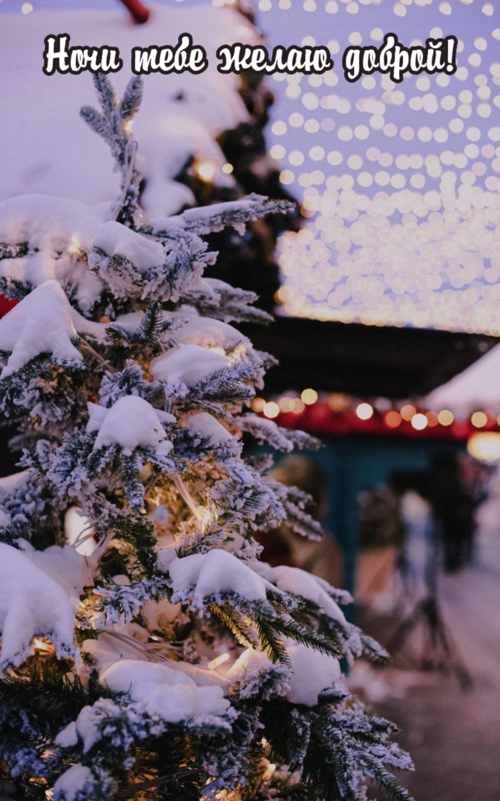 ���� ���� ����� ������!.