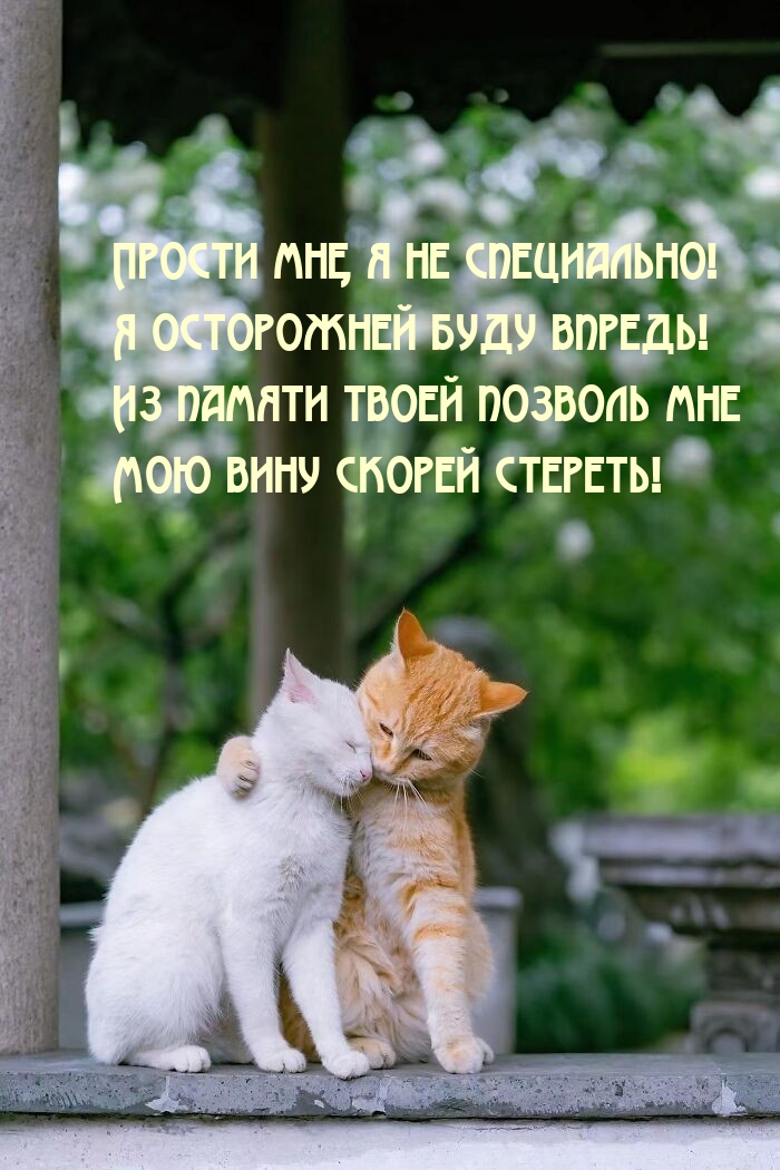 ������ ���, � �� ����������! � ���������� ���� ������!.