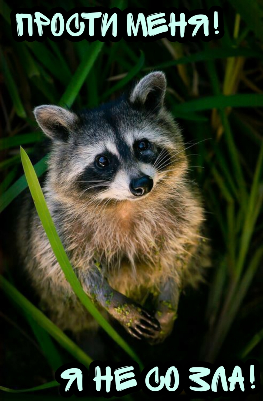 ������ ����! � �� �� ���!