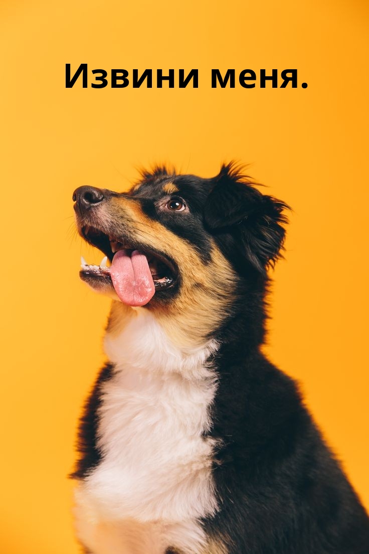 ������ ����..