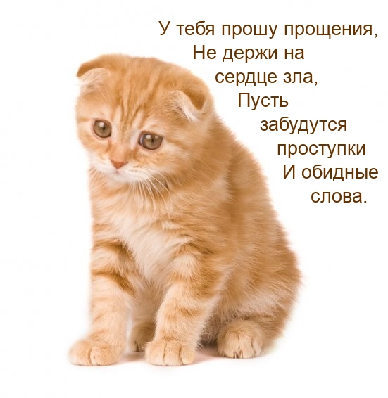 � ���� ����� ��������, �� ����� �� ������ ���