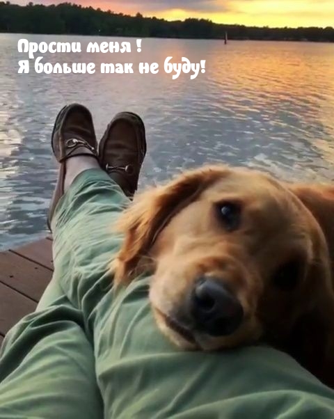 ������ ����! � ������ ��� �� ����!.