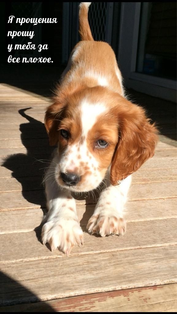 � �������� ����� � ���� �� ��� ������.