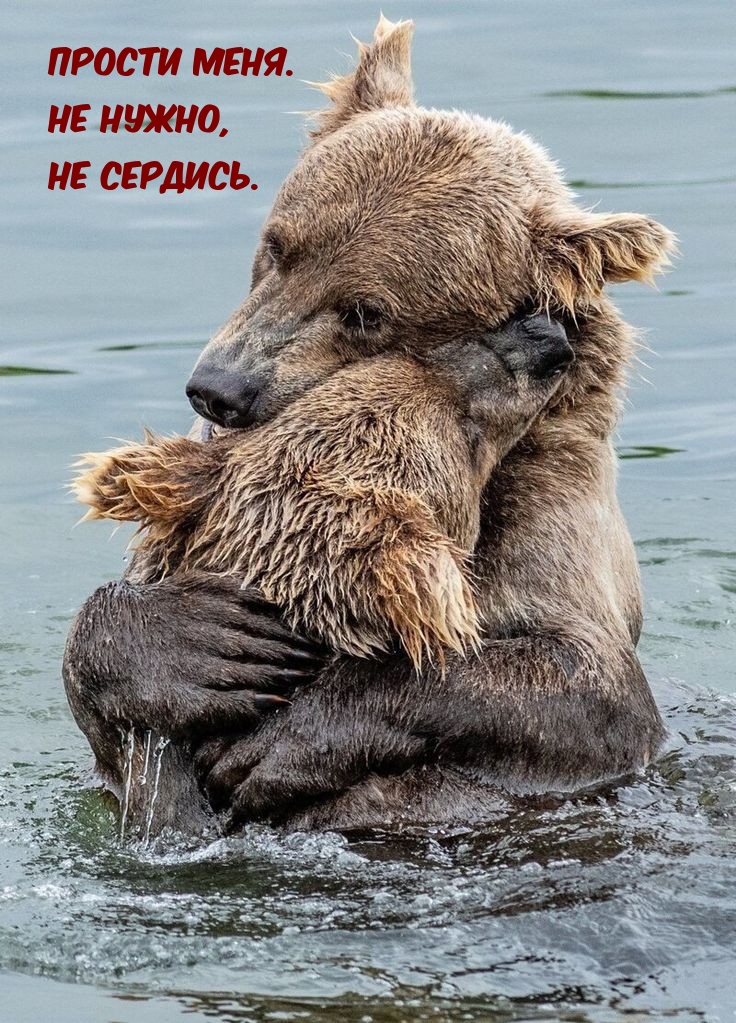 ������ ����. �� �����, �� �������.