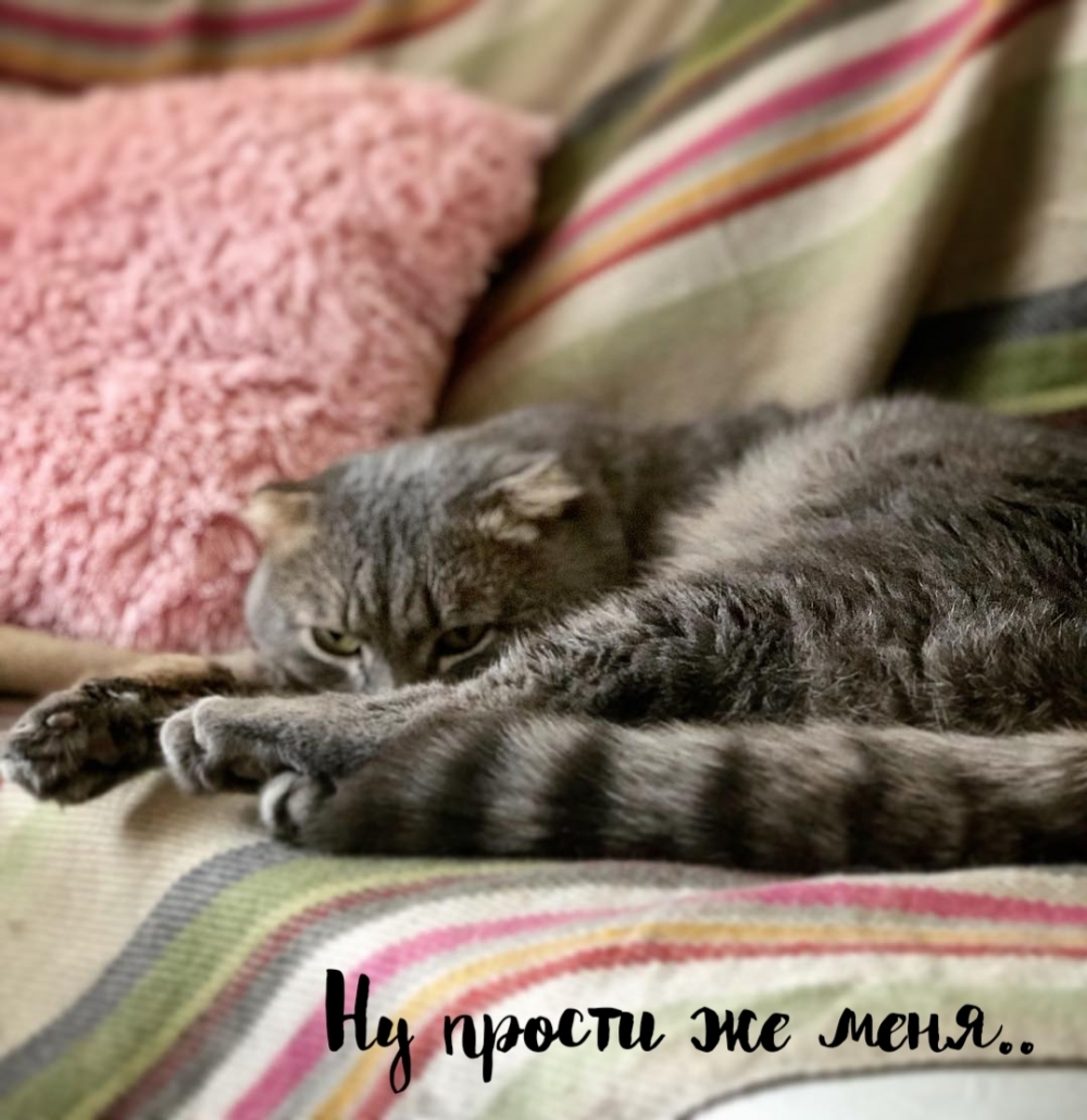�� ������ �� ����..
