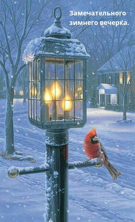 �������������� ������� �������.