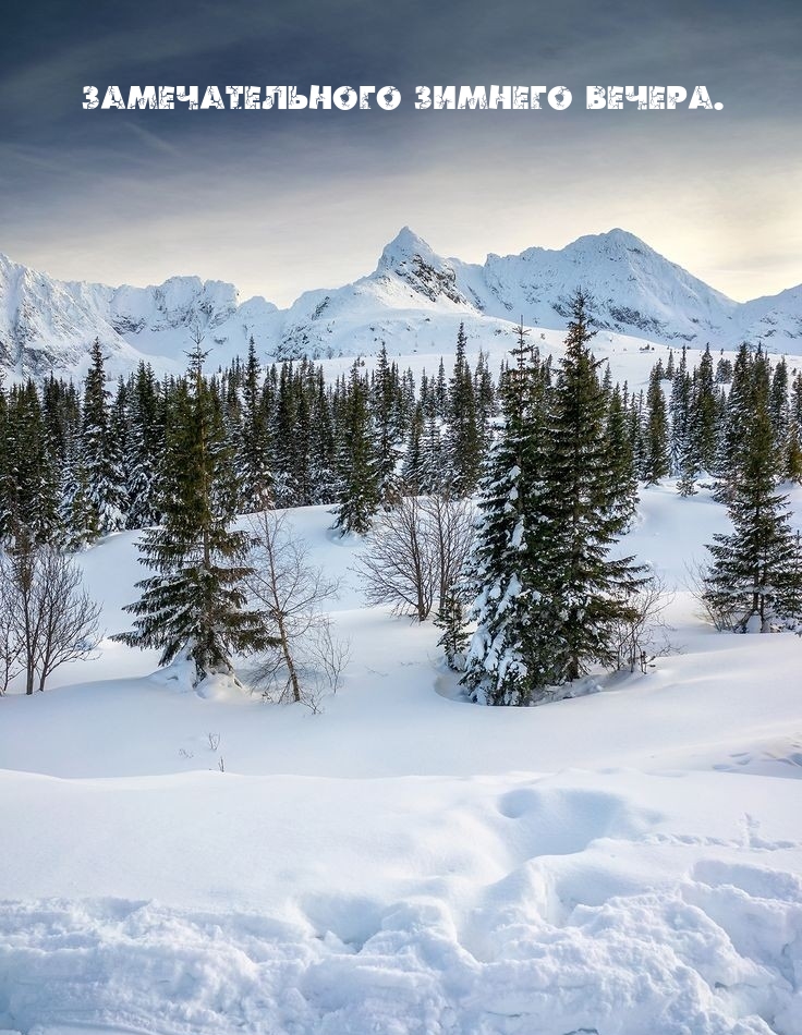 �������������� ������� ������.