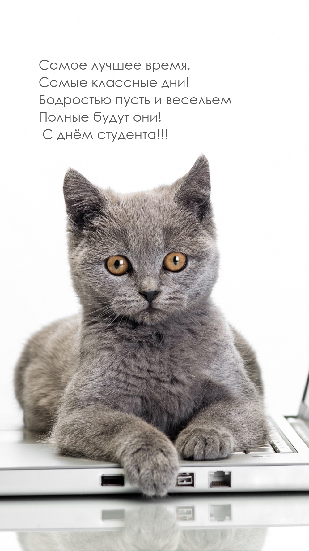 ����� �������� ���! � ���� ��������!!!