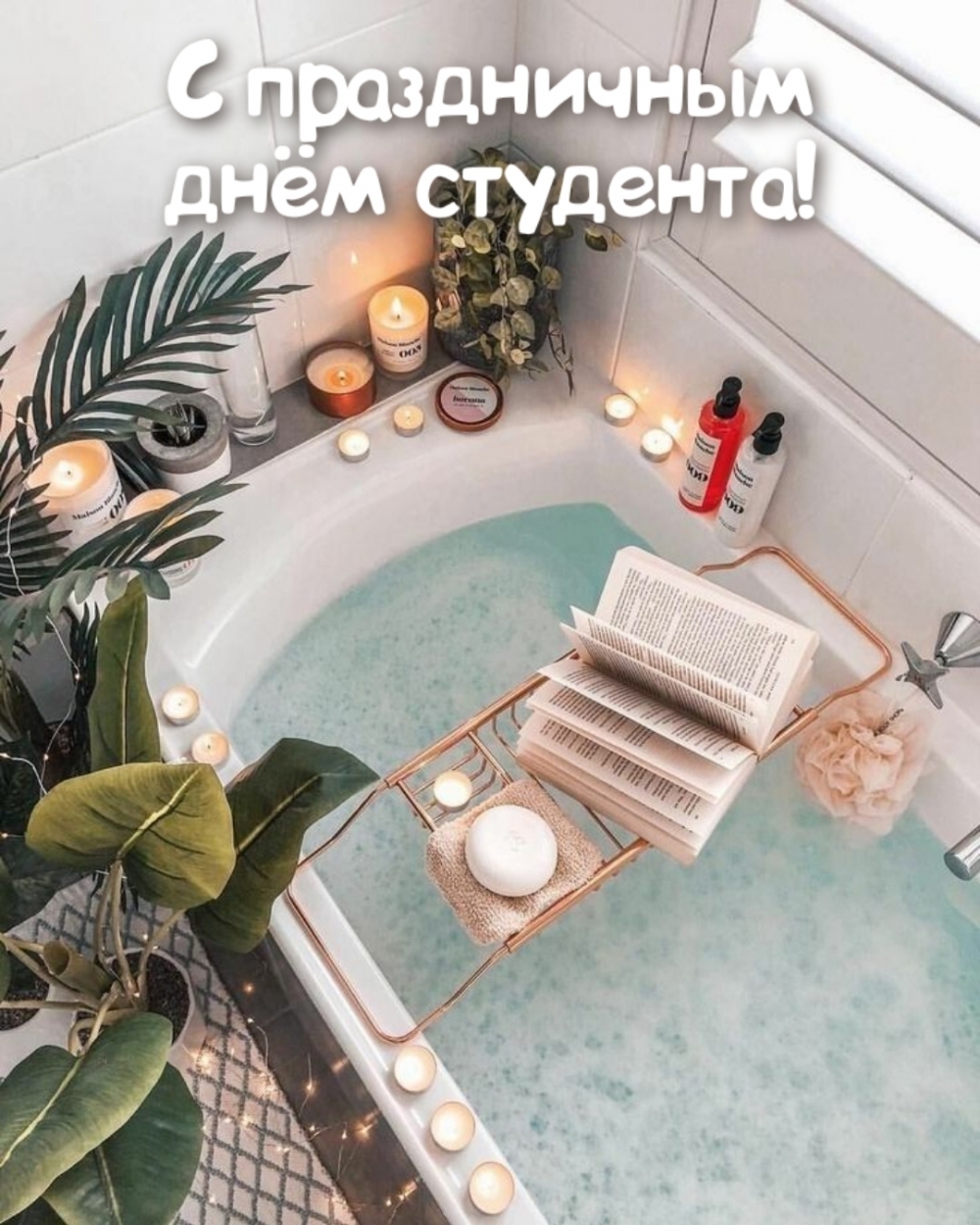 � ����������� ���� ��������!