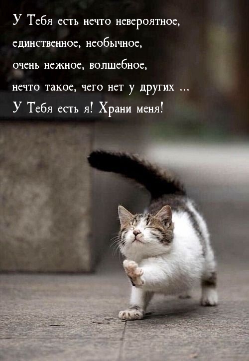 У Тебя есть нечто невероятное