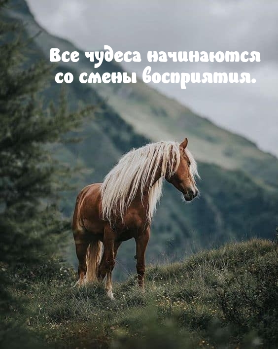 ��� ������ ���������� �� ����� ����������.