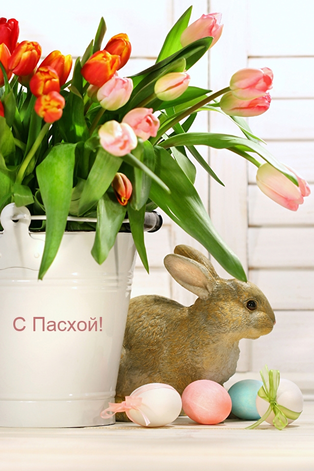 С Пасхой!