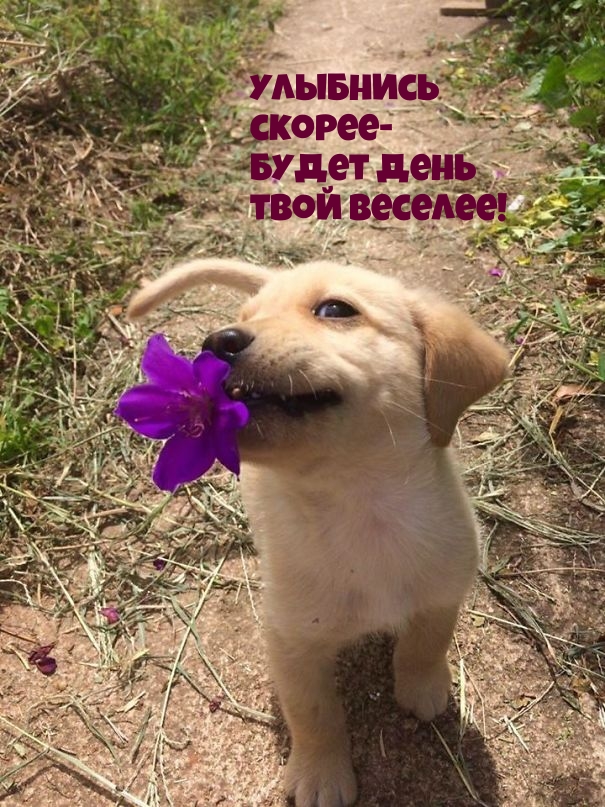 �������� ������ - ����� ���� ���� �������!.