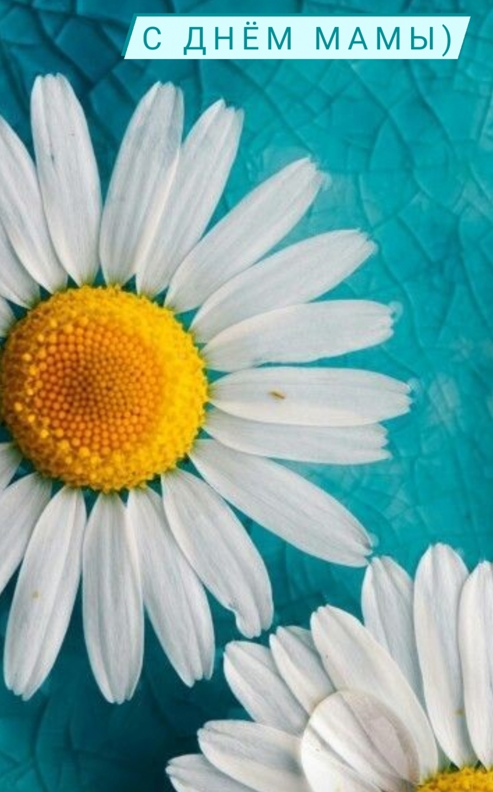 � ���� ����)