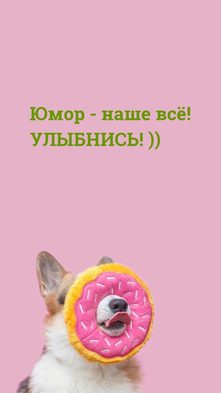 ���� - ���� ��! ��������! ))