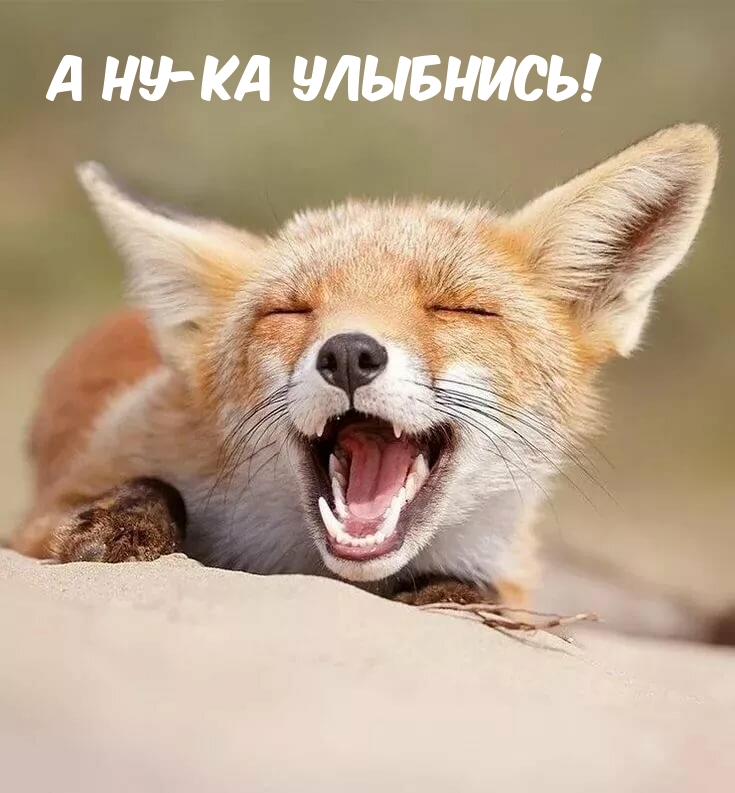 � ��-�� ��������!