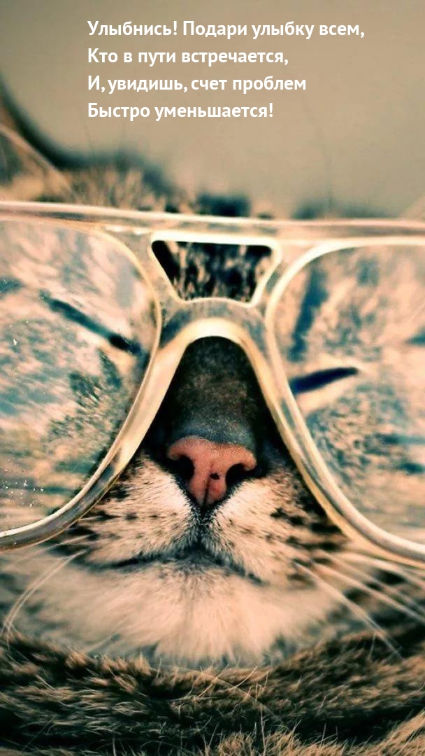 ��������! ������ ������ ����.