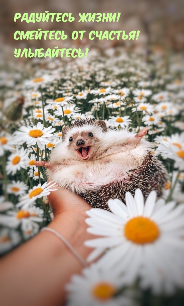 ��������� �����! �������� �� �������! ����������!.