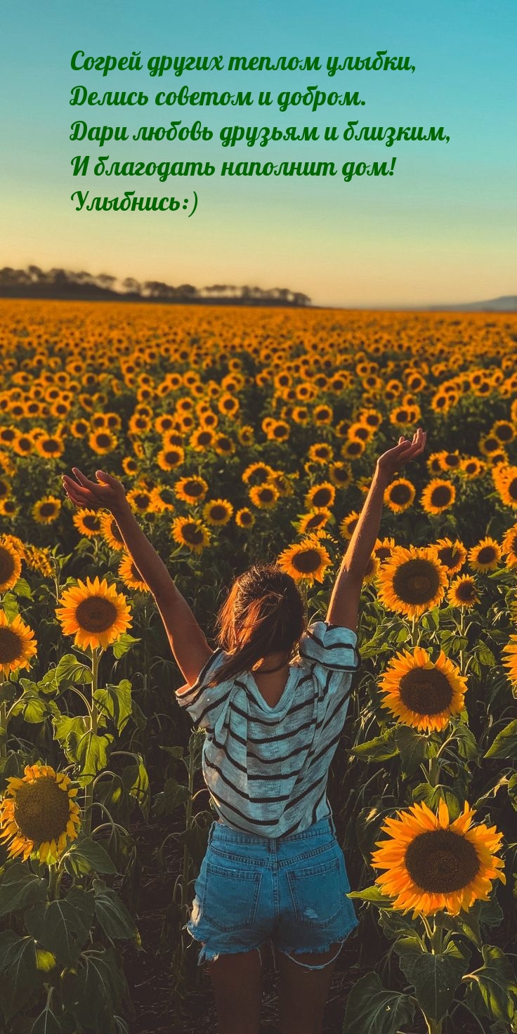 ������ ������ ������ ������, ������ ������� � ������. .