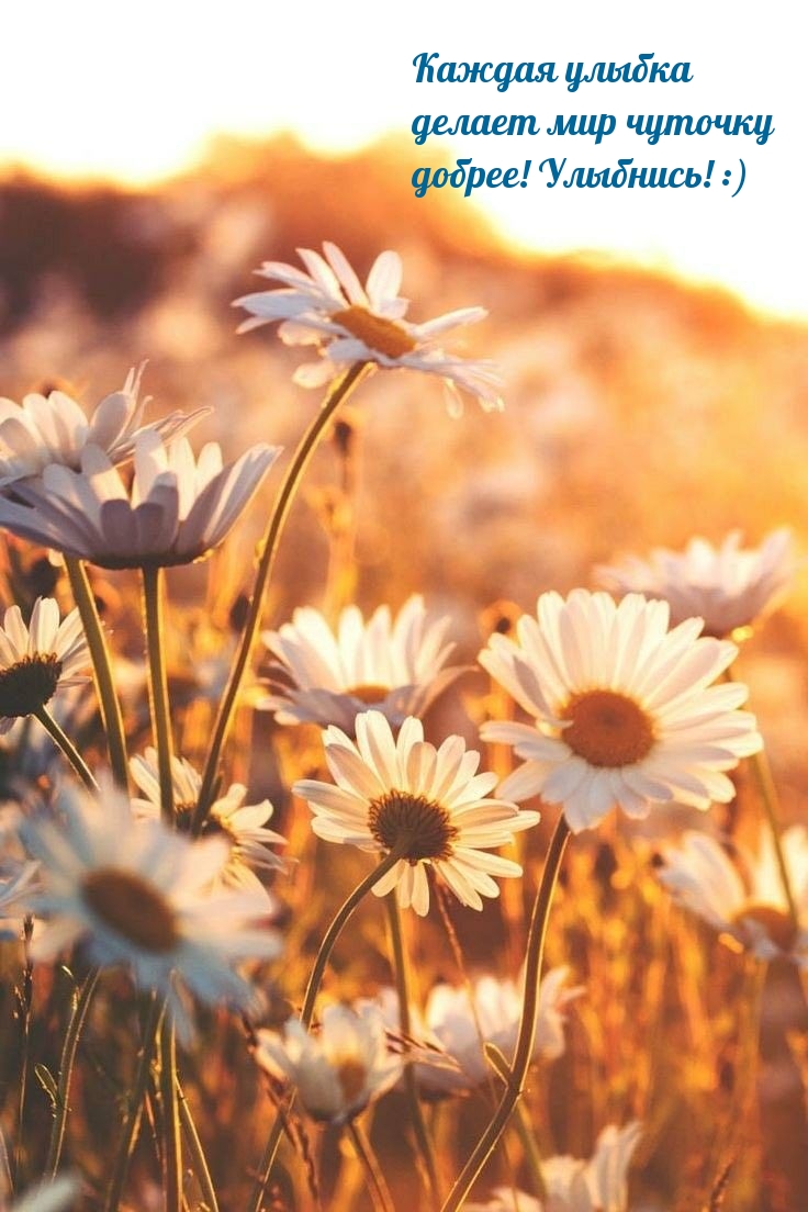 ������ ������ ������ ��� ������� ������! ��������! :).