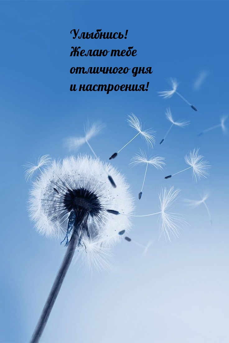 ��������! ����� ���� ��������� ��� � ����������!.