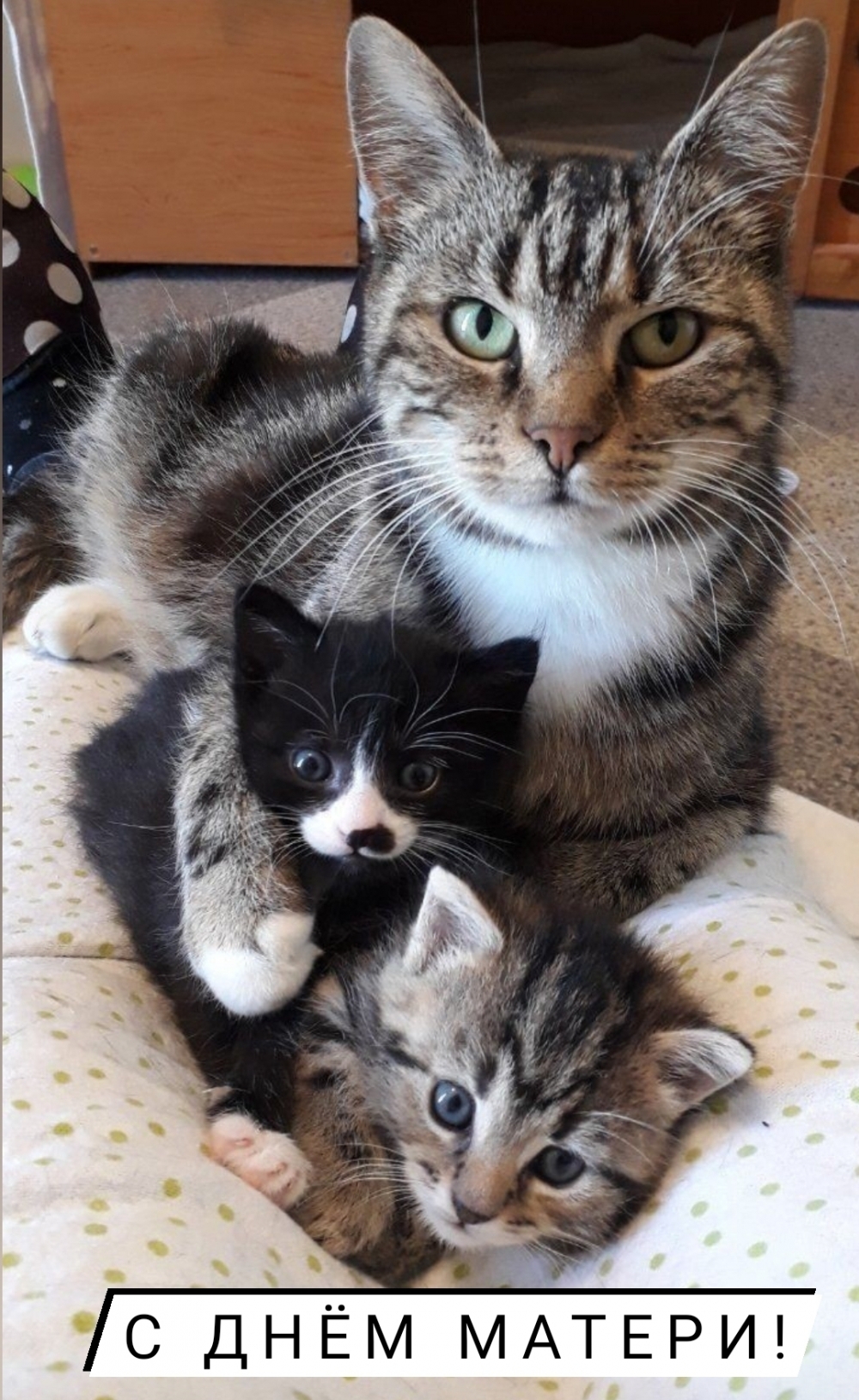 � ���� ������!