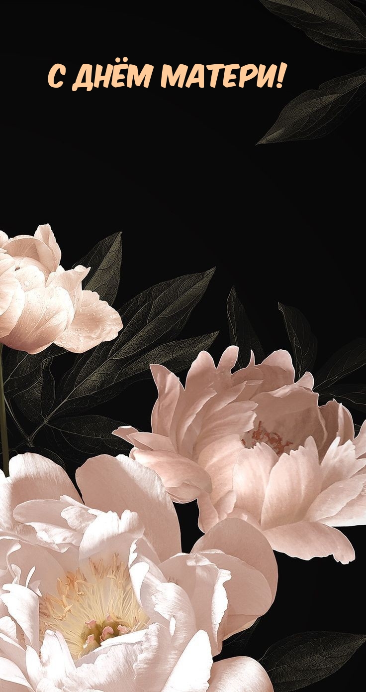 � ���� ������!.