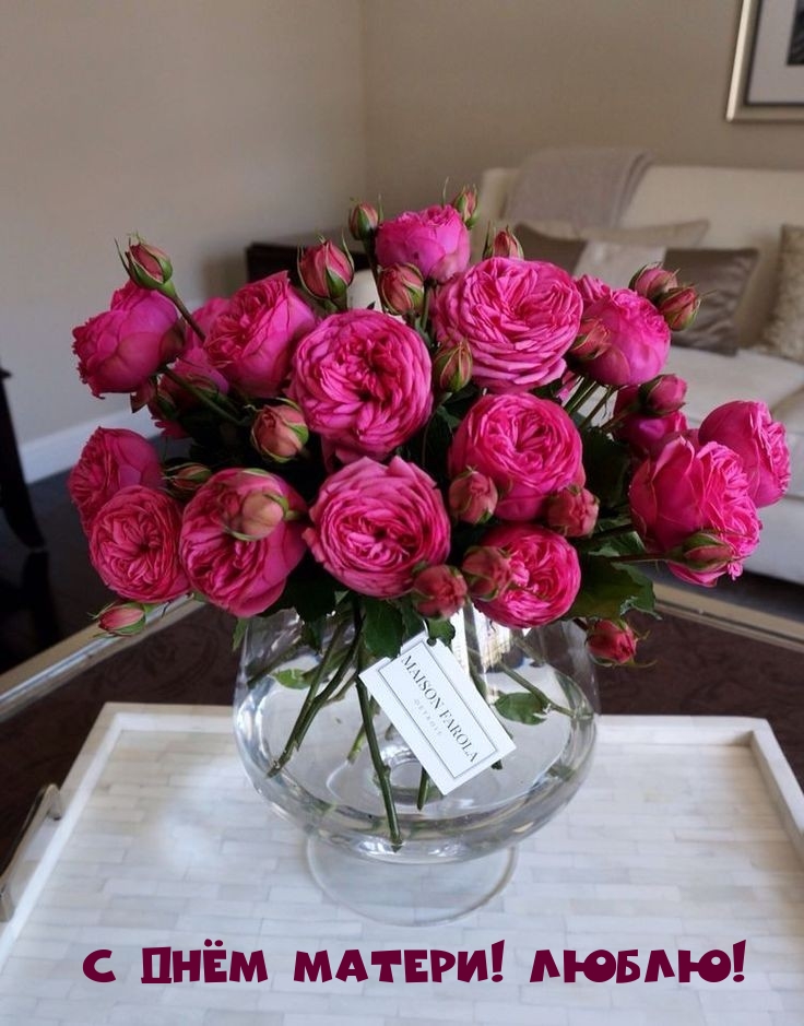 � ���� ������! �����!