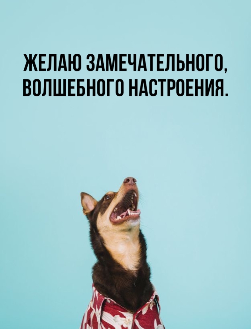 ����� ��������������, ���������� ����������..