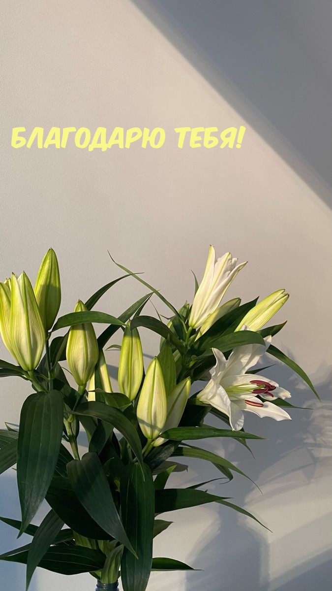 ��������� ����!