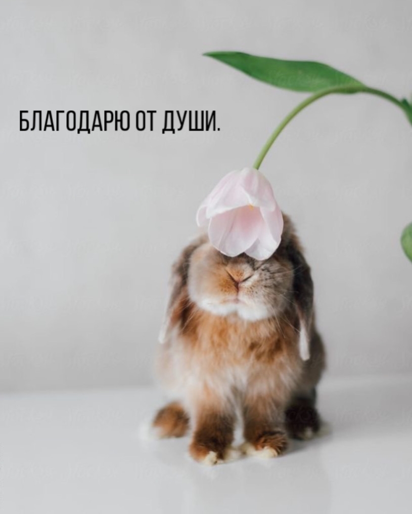 ��������� �� ����.