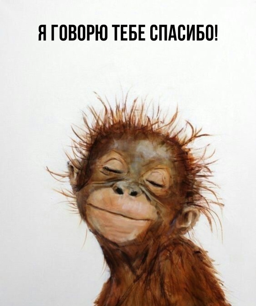 � ������ ���� �������!