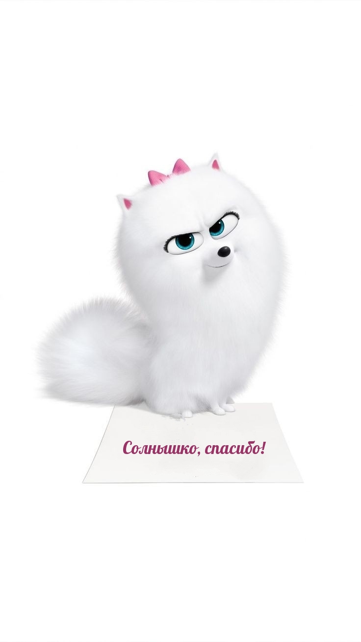 ��������, �������!