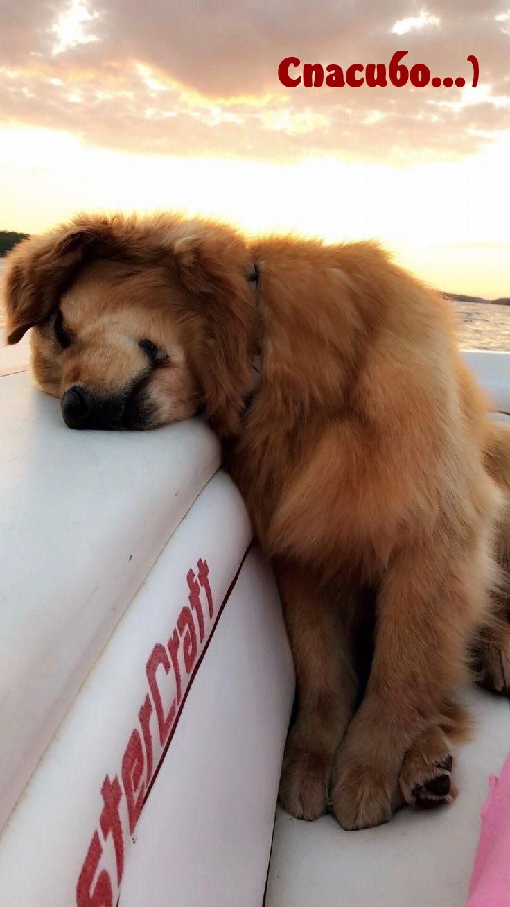 �������...).