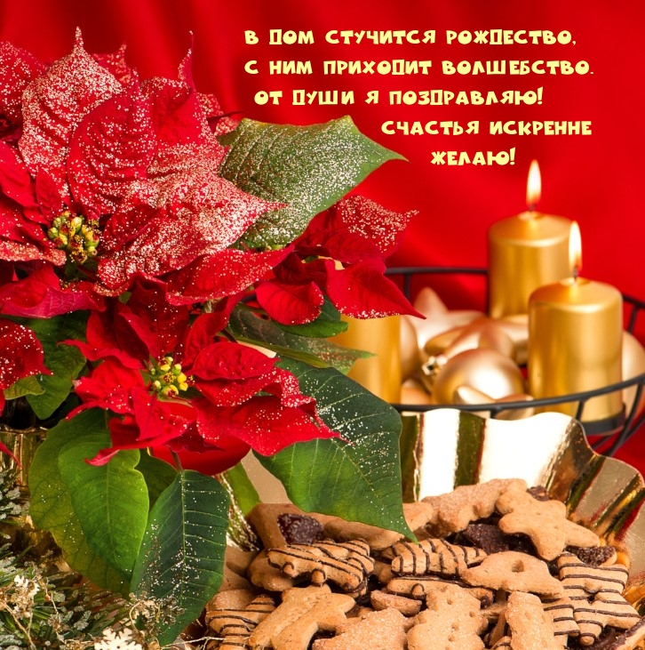 � ��� �������� ���������.
