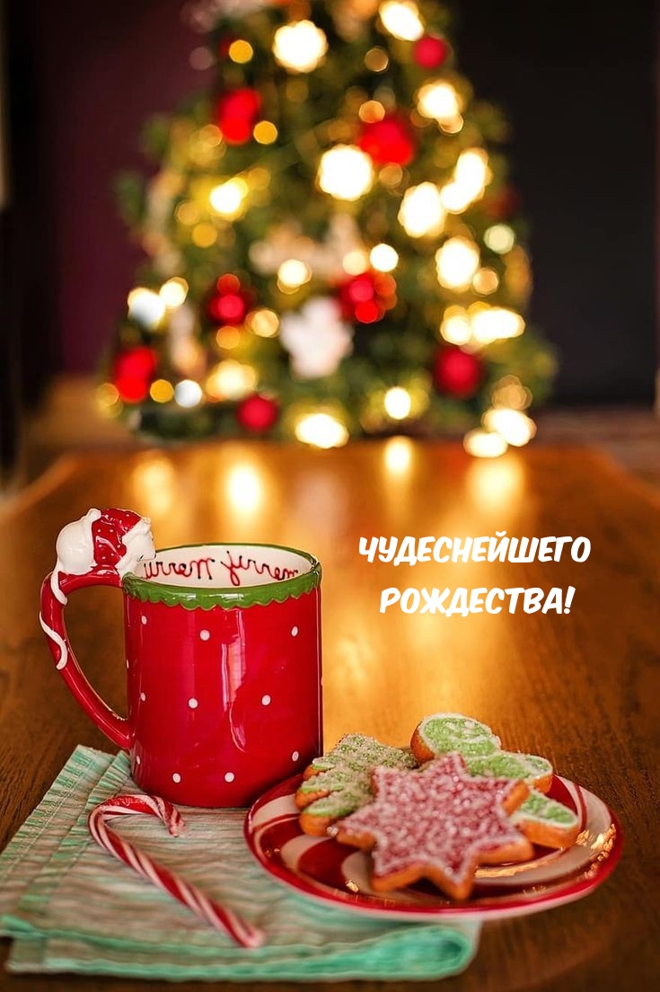 ������������ ���������!.