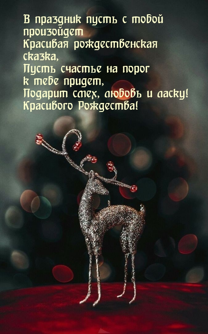 ������� ����, ������ � �����! ��������� ���������!.