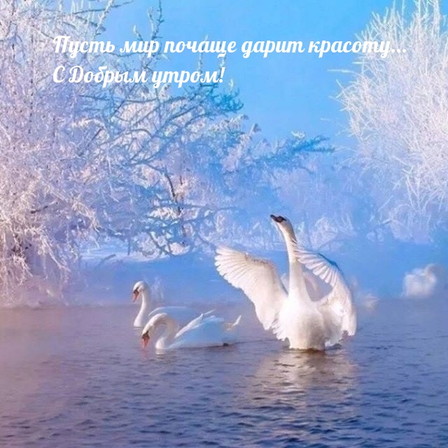     ...   !.