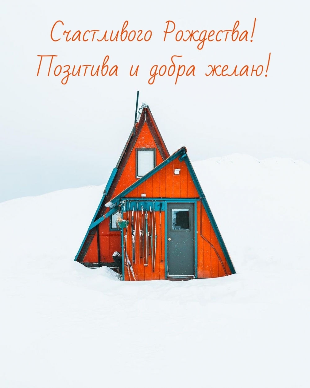 ����������� ���������! �������� � ����� �����!.