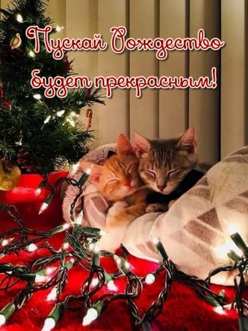 ������ ��������� ����� ����������!.