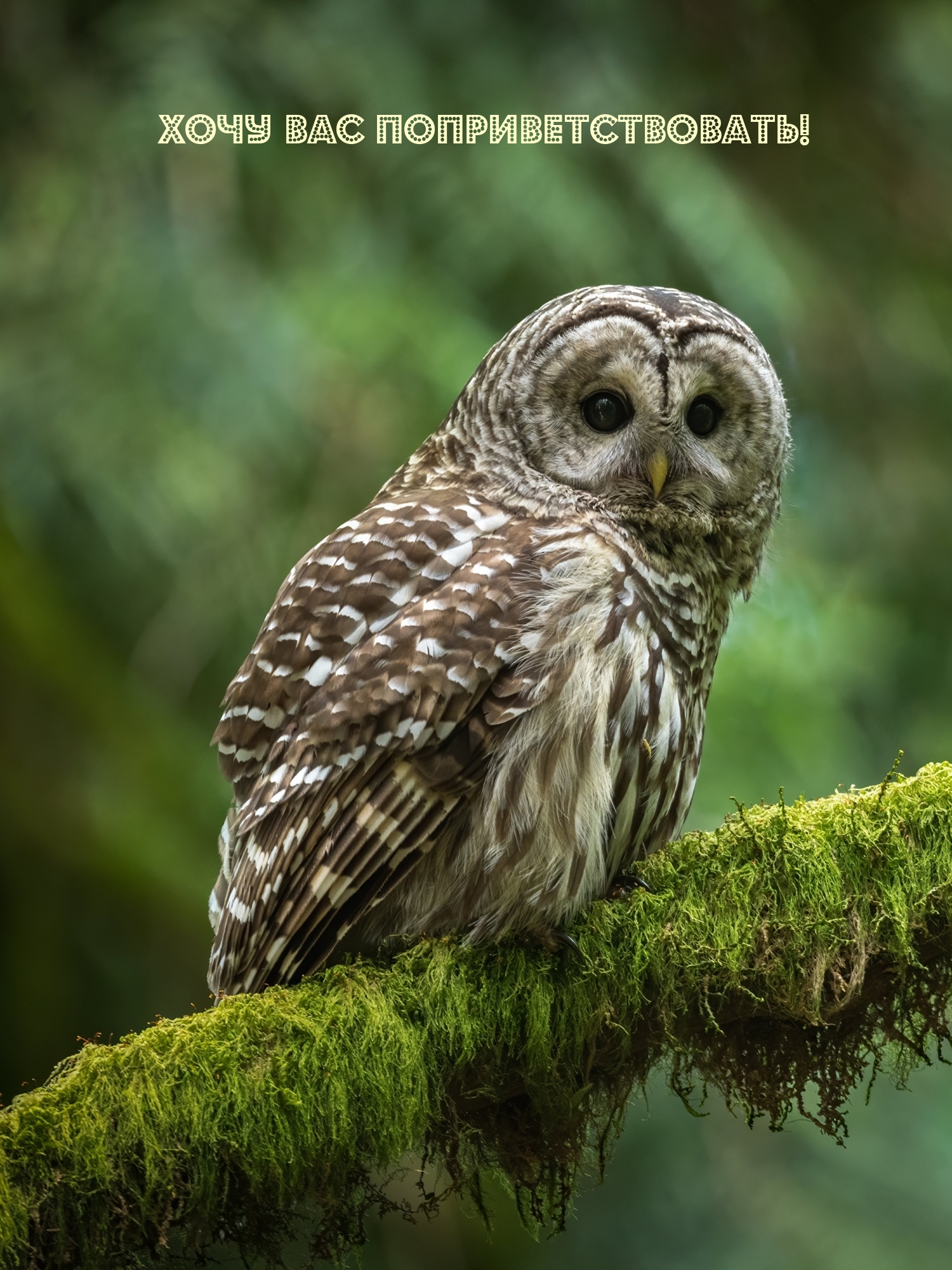 ���� ��� ����������������!