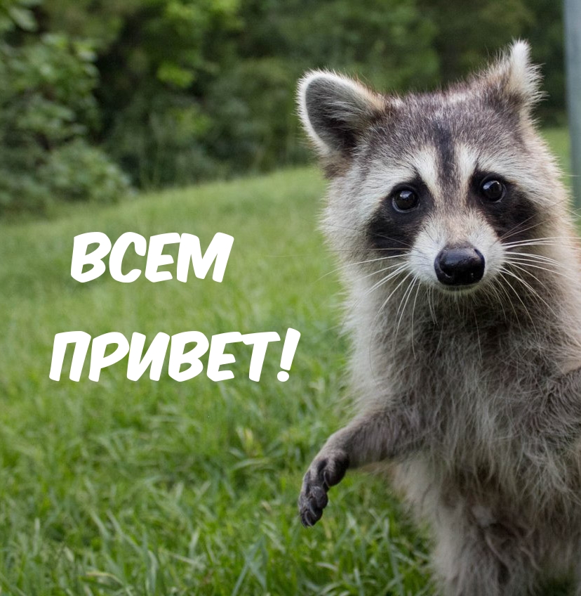 ���� ������!