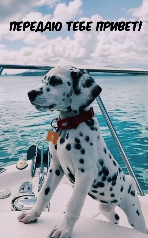 ������� ���� ������!