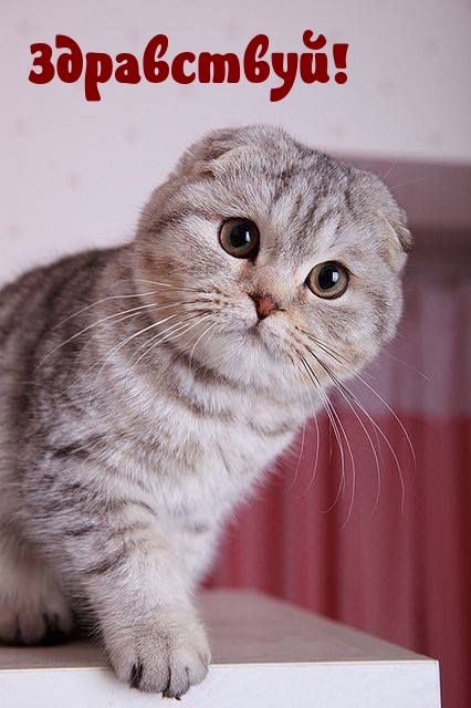 ����������!